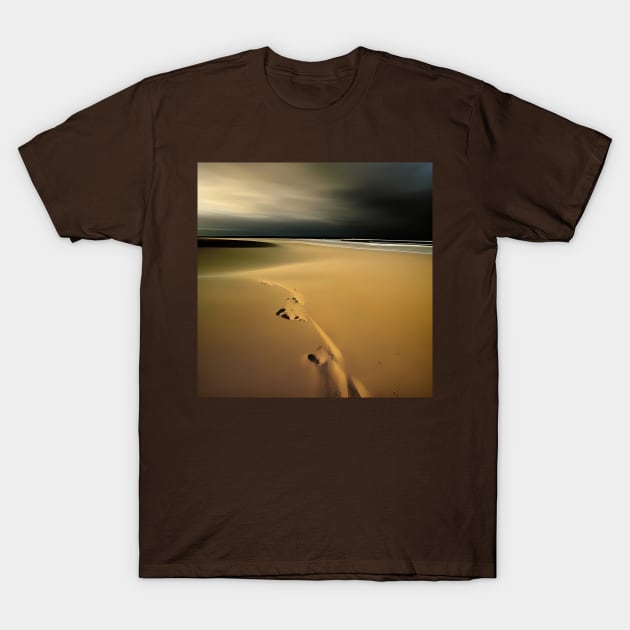 Victorian Coastal landscape Beach Storm Photo T-Shirt by druidwolfart